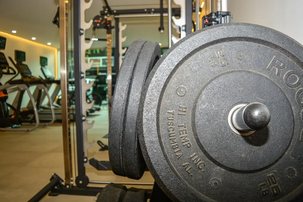 Equipos profesionales Rogue en GoMoving Costa Rica